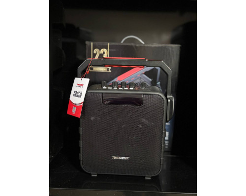 Портативна акумуляторна музична колонка Temeisheng SL05-26, 50W