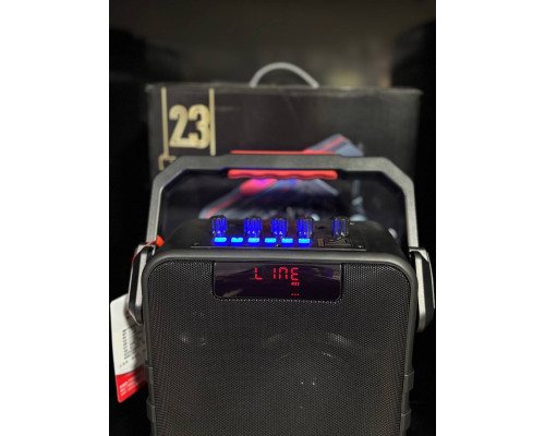 Портативна акумуляторна музична колонка Temeisheng SL05-26, 50W