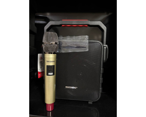 Портативна акумуляторна музична колонка Temeisheng SL05-26, 50W