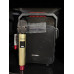 Портативна акумуляторна музична колонка Temeisheng SL05-26, 50W
