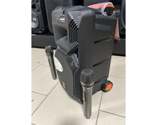 Акумуляторна колонка SOONTRAN SS1-08 / 100 W (USB/Bluetooth/2 радіомікрофони) 