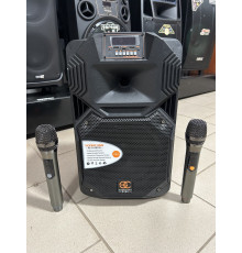 Акумуляторна колонка SOONTRAN SS1-08 / 100 W (USB/Bluetooth/2 радіомікрофони) 