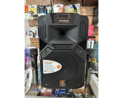 Акумуляторна колонка SOONTRAN SS1-08 / 100 W (USB/Bluetooth/2 радіомікрофони) 