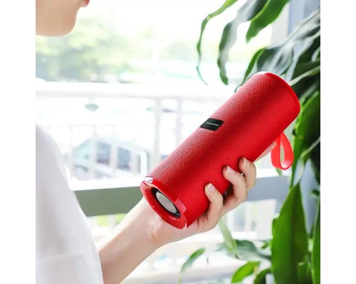 Колонка Bluetooth BOROFONE BR1 Beyond 
