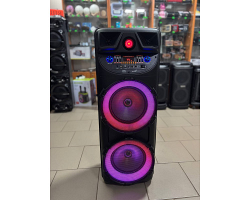 Портативна акумуляторна колонка Sing-e ZQ510205, 40W