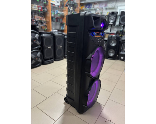 Портативна акумуляторна колонка Sing-e ZQ510205, 40W
