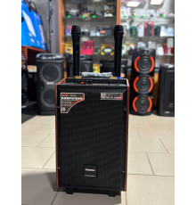 Портативна музична колонка Temeisheng 10-24, 150W