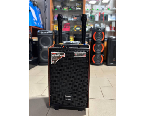 Портативна музична колонка Temeisheng 10-24, 150W