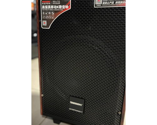 Портативна музична колонка Temeisheng 10-24, 150W
