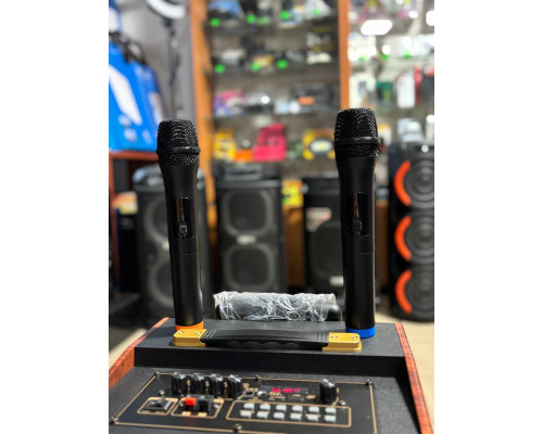 Портативна музична колонка Temeisheng 10-24, 150W