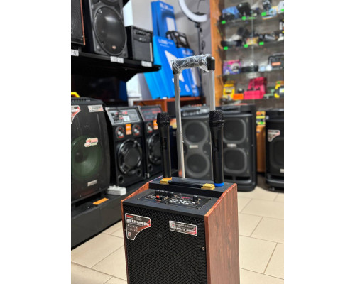 Портативна музична колонка Temeisheng 10-24, 150W