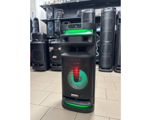 Temeisheng 1028E-D12 – музична колонка потужністю 300W