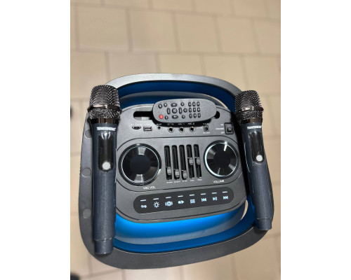 Temeisheng 1028E-D12 – музична колонка потужністю 300W