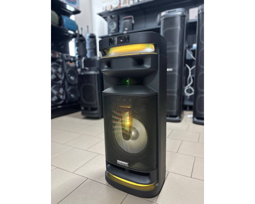 Temeisheng 1028E-D12 – музична колонка потужністю 300W