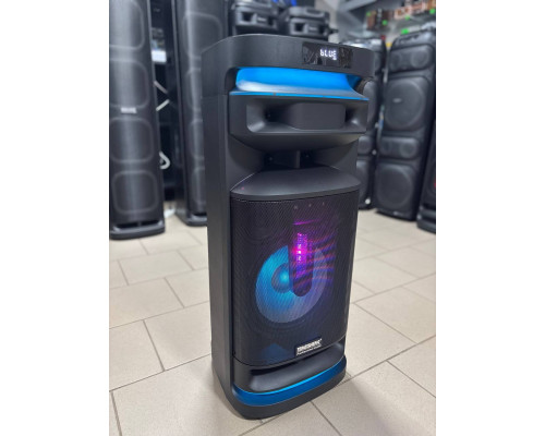 Temeisheng 1028E-D12 – музична колонка потужністю 300W