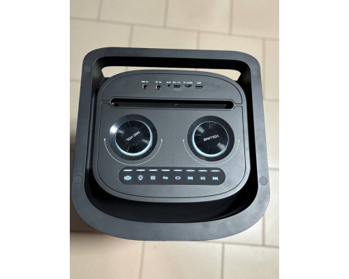 Акумуляторна музична колонка Temeisheng TMS-10291