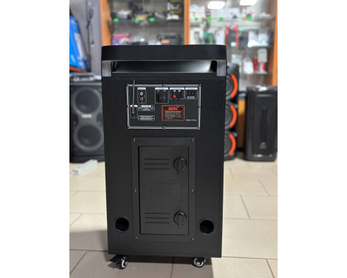 Акумуляторна музична колонка Temeisheng TMS-10291