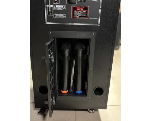 Акумуляторна музична колонка Temeisheng TMS-10291