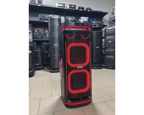 Потужна музична колонка Temeisheng 10292 з двома мікрофонами, 300W