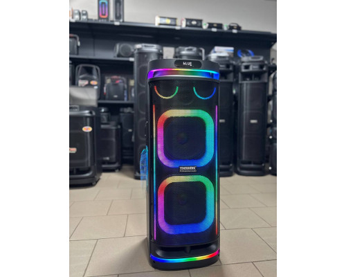 Потужна музична колонка Temeisheng 10292 з двома мікрофонами, 300W