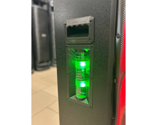 Потужна музична колонка Temeisheng 10292 з двома мікрофонами, 300W