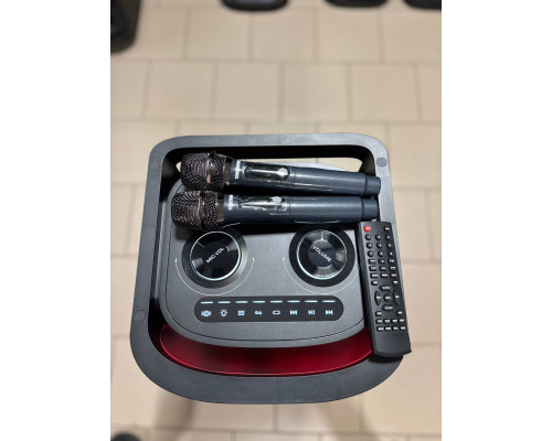 Потужна музична колонка Temeisheng 10292 з двома мікрофонами, 300W