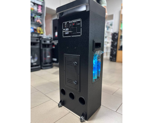 Потужна музична колонка Temeisheng 10292 з двома мікрофонами, 300W