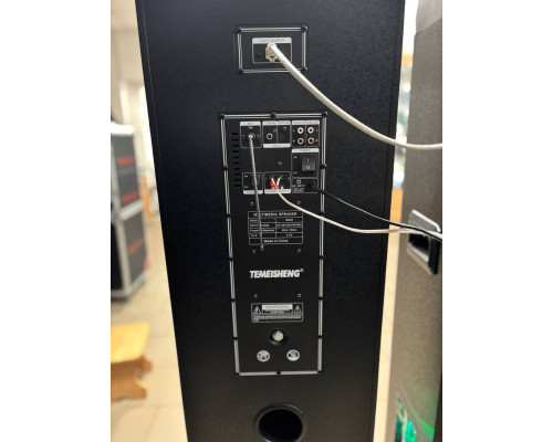 Акустична система Temeisheng 10294A з двома мікрофонами, 800W