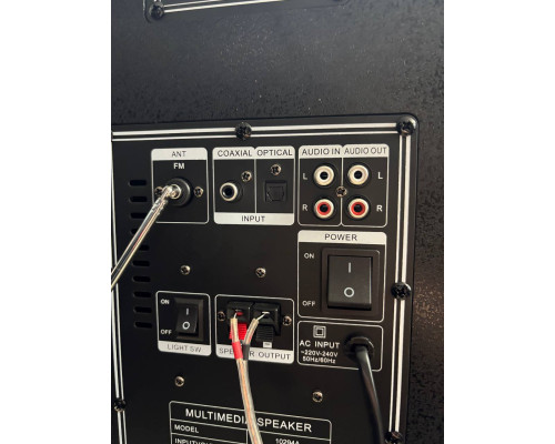 Акустична система Temeisheng 10294A з двома мікрофонами, 800W