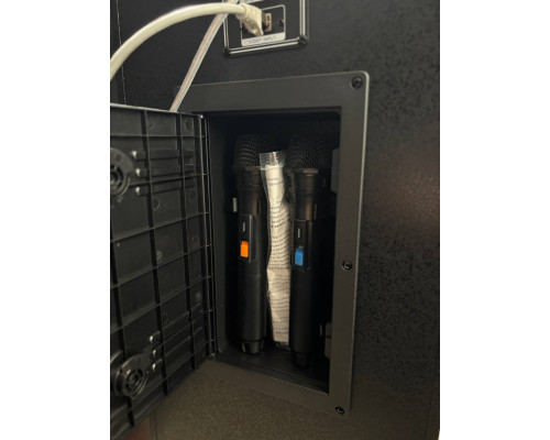 Акустична система Temeisheng 10294A з двома мікрофонами, 800W