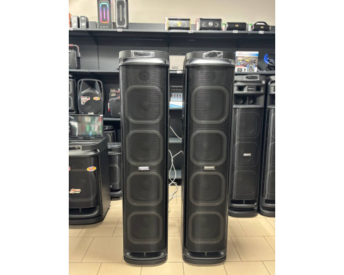 Акустична система Temeisheng 10294A з двома мікрофонами, 800W