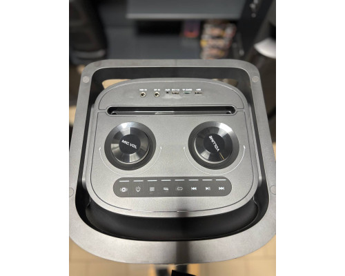 Акустична система Temeisheng 10294A з двома мікрофонами, 800W