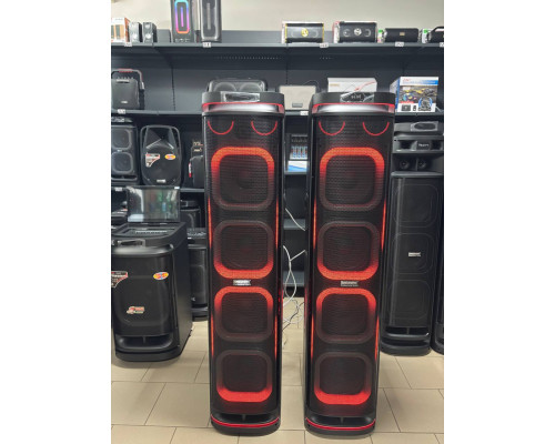 Акустична система Temeisheng 10294A з двома мікрофонами, 800W