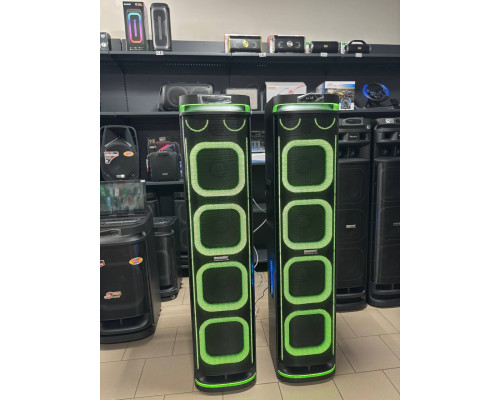 Акустична система Temeisheng 10294A з двома мікрофонами, 800W