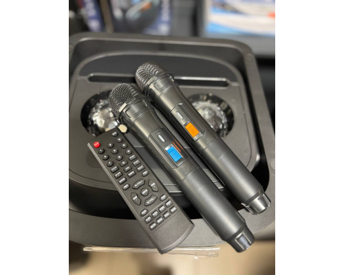 Акустична система Temeisheng 10294A з двома мікрофонами, 800W