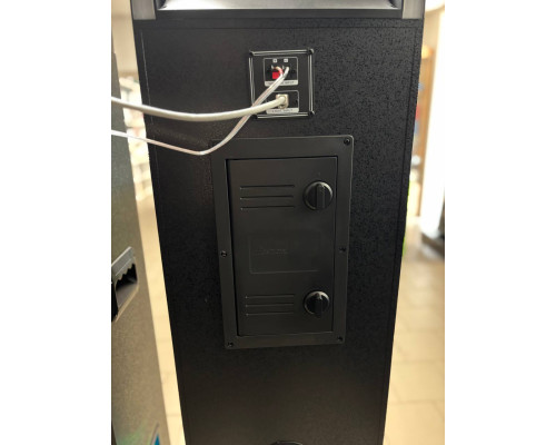 Акустична система Temeisheng 10294A з двома мікрофонами, 800W