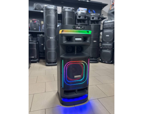 Потужна музична колонка Temeisheng 10301 з двома мікрофонами, 300W