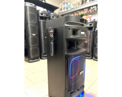 Потужна музична колонка Temeisheng 10301 з двома мікрофонами, 300W
