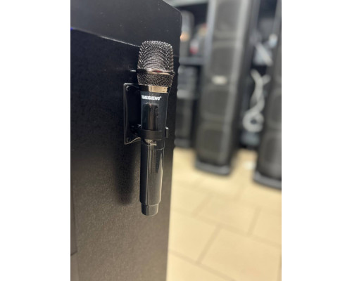 Потужна музична колонка Temeisheng 10301 з двома мікрофонами, 300W