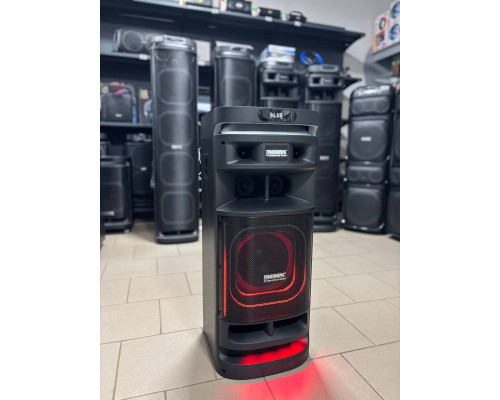 Потужна музична колонка Temeisheng 10301 з двома мікрофонами, 300W