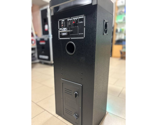Потужна музична колонка Temeisheng 10301 з двома мікрофонами, 300W