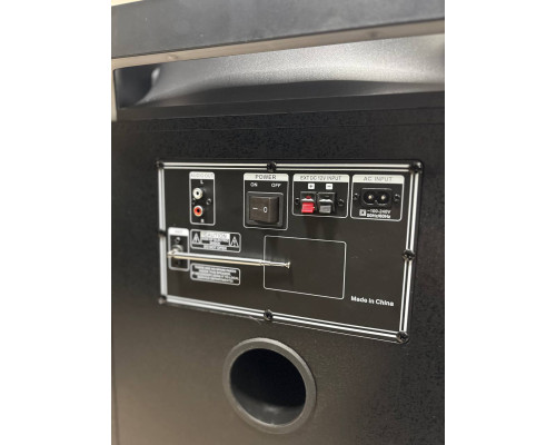 Потужна музична колонка Temeisheng 10301 з двома мікрофонами, 300W
