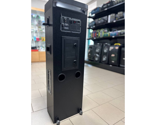 Портативна акустична система Temeisheng 10302, 300W