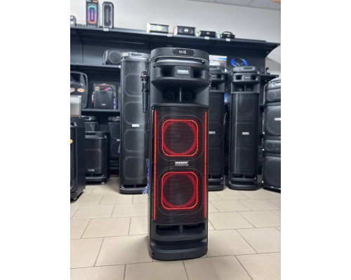 Портативна акустична система Temeisheng 10302, 300W