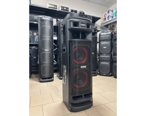Портативна акустична система Temeisheng 10302, 300W