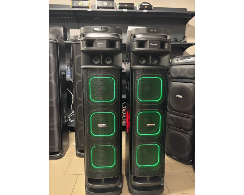 Акустична система Temeisheng 10303A з двома мікрофонами, 800W