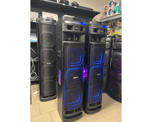 Акустична система Temeisheng 10303A з двома мікрофонами, 800W