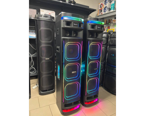 Акустична система Temeisheng 10303A з двома мікрофонами, 800W
