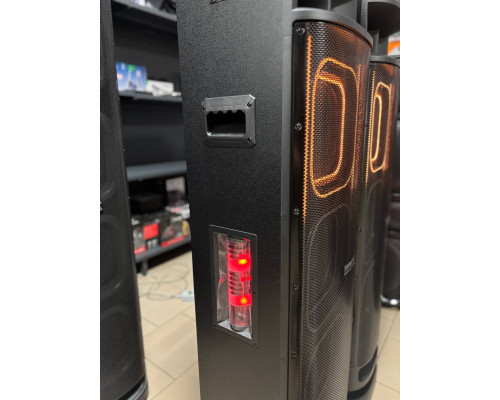 Акустична система Temeisheng 10303A з двома мікрофонами, 800W