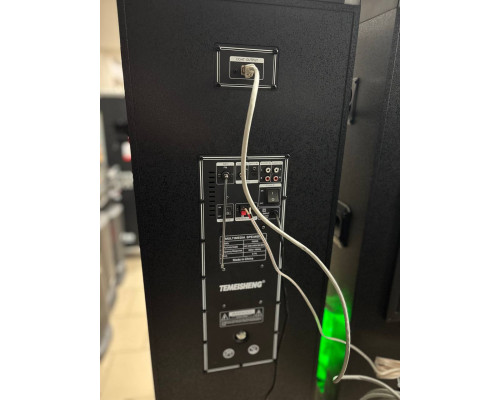 Акустична система Temeisheng 10303A з двома мікрофонами, 800W